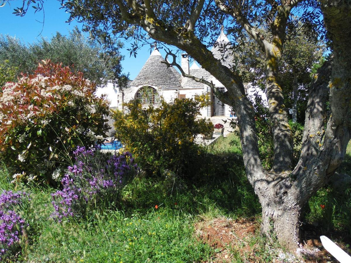 B&B Trulli Sotto La Cupa マルティナ・フランカ エクステリア 写真