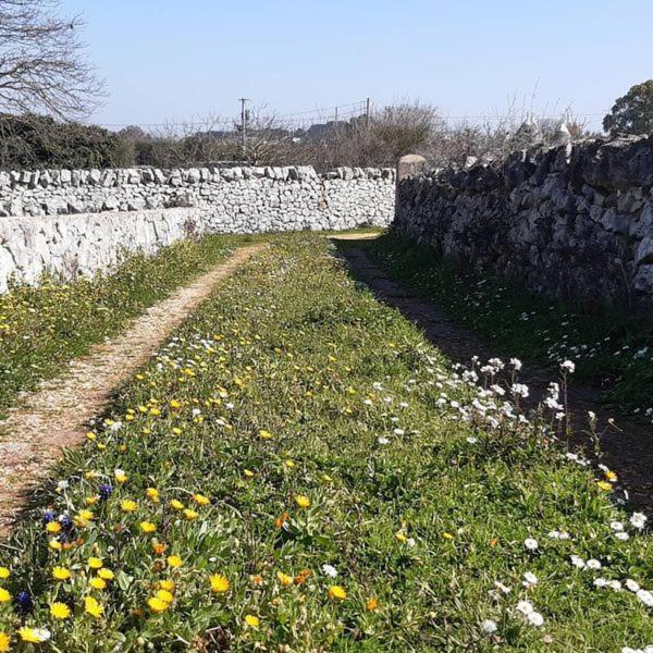 B&B Trulli Sotto La Cupa マルティナ・フランカ エクステリア 写真