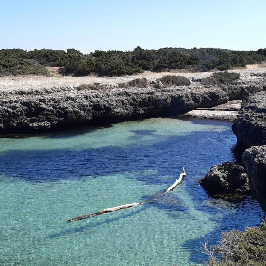 B&B Trulli Sotto La Cupa マルティナ・フランカ エクステリア 写真