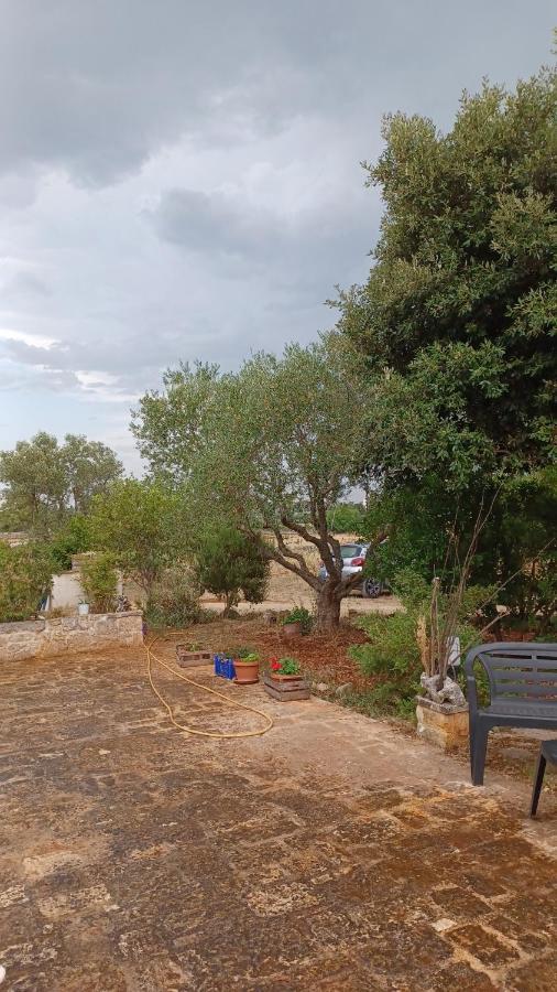 B&B Trulli Sotto La Cupa マルティナ・フランカ エクステリア 写真