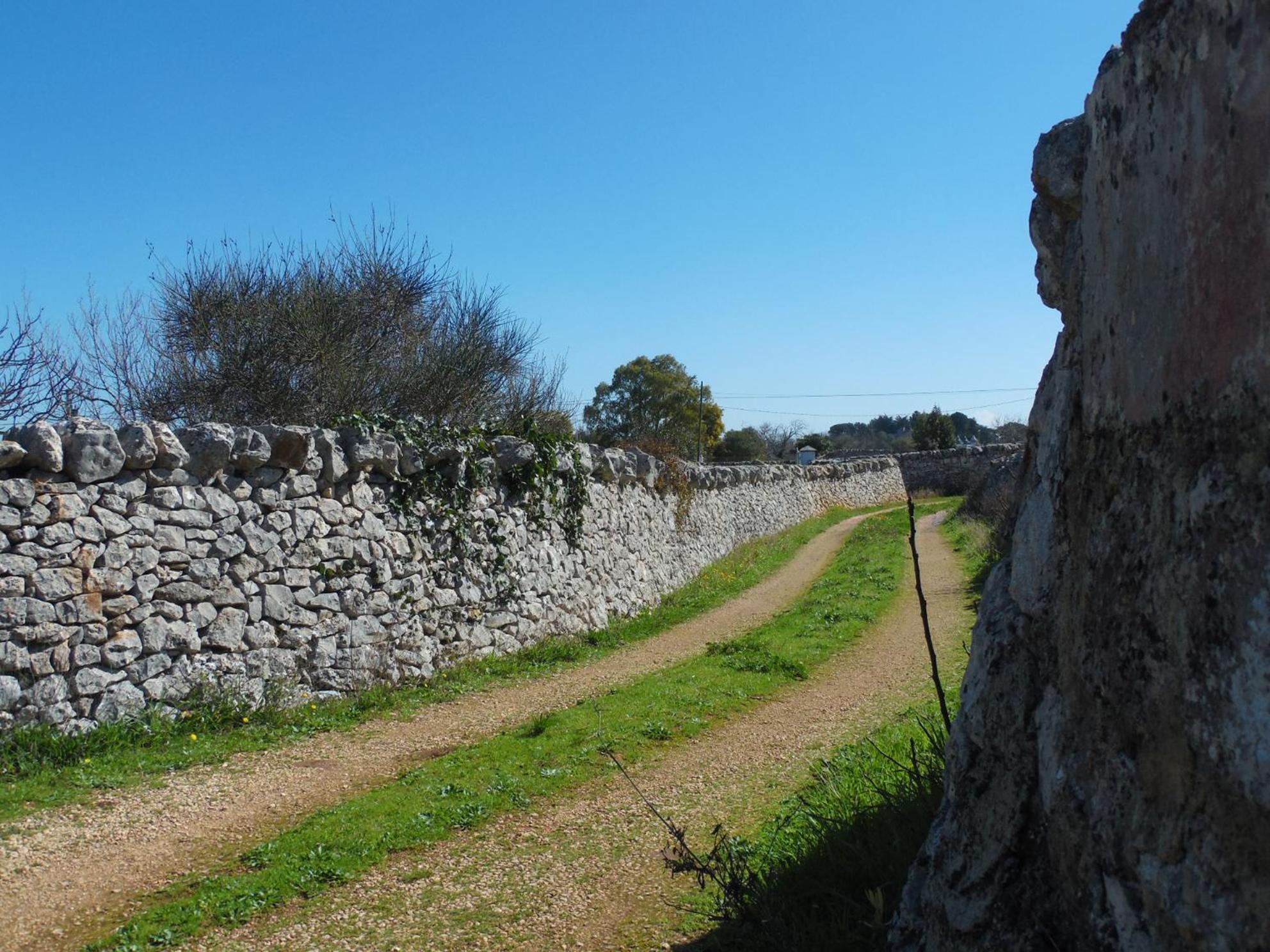 B&B Trulli Sotto La Cupa マルティナ・フランカ エクステリア 写真