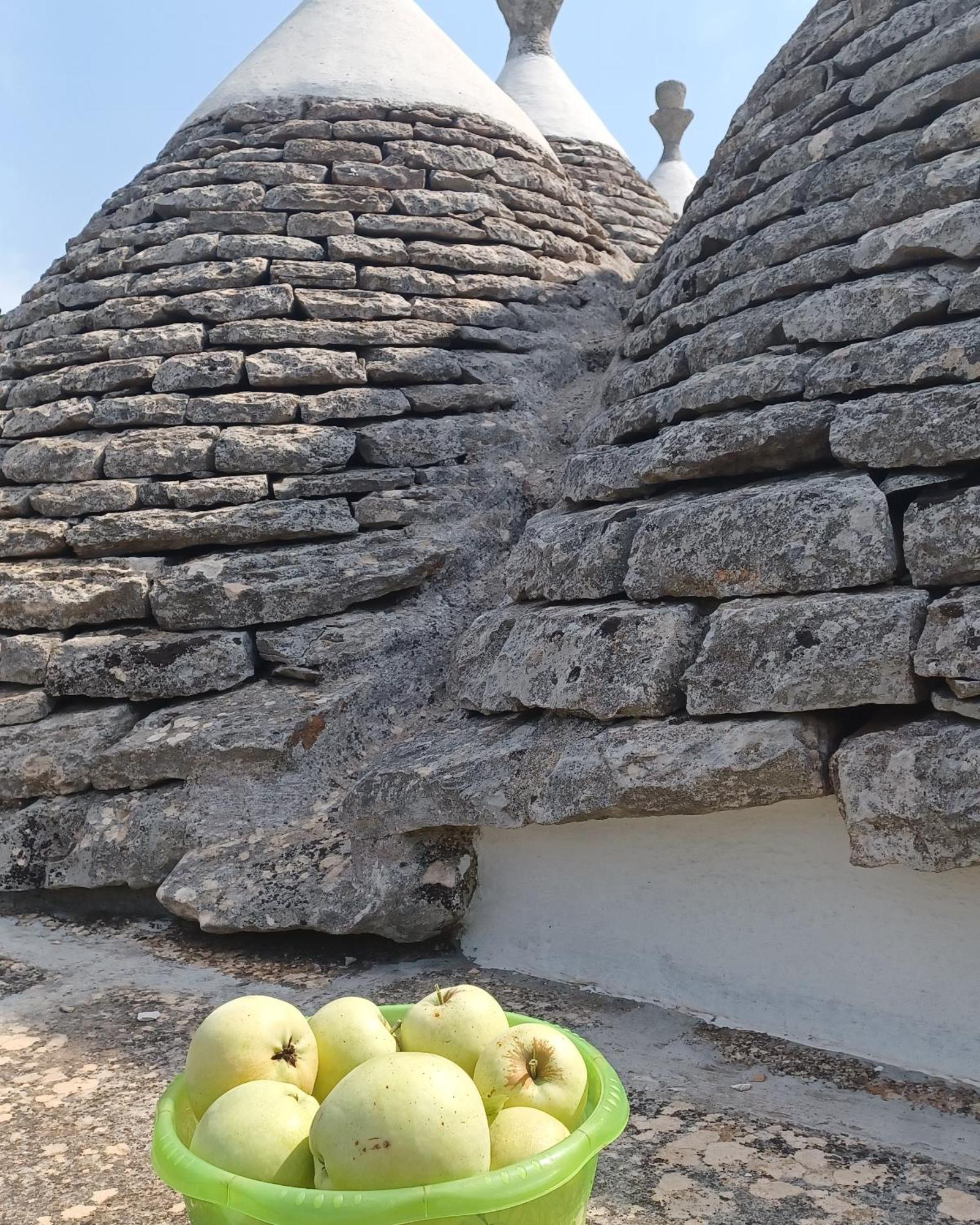B&B Trulli Sotto La Cupa マルティナ・フランカ エクステリア 写真